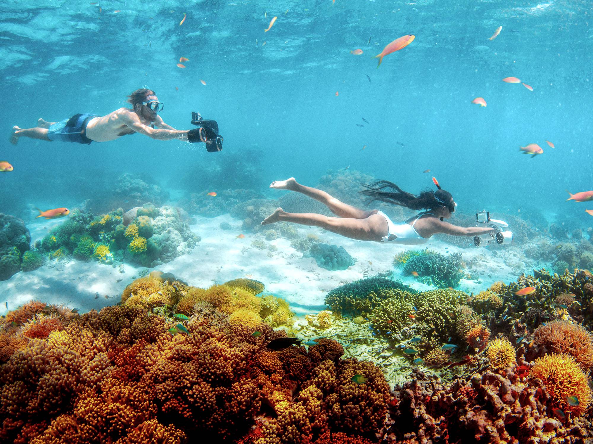 snorkeling avec mini seabob les saintes, aux saintes, terre de haut, Guadeloupe